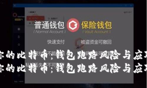 保护你的比特币：钱包跑路风险与应对策略
保护你的比特币：钱包跑路风险与应对策略