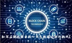 如何应对比特币核心钱包数据过大的挑战？