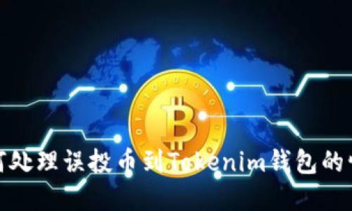 如何处理误投币到Tokenim钱包的情况