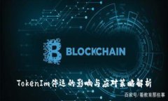 TokenIm停运的影响与应对策略解析