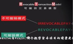 TokenIm与Kcash：哪个数字货币项目的前景更好？