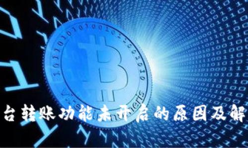 Tokenim平台转账功能未开启的原因及解决方案解析