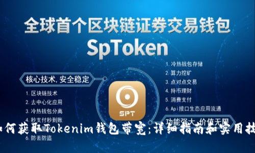 :如何获取Tokenim钱包带宽：详细指南和实用技巧