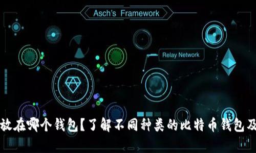 比特币存放在哪个钱包？了解不同种类的比特币钱包及其优缺点