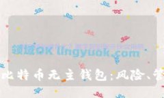 深入探讨比特币无主钱包：风险、管理与未来