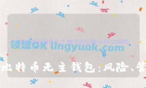 深入探讨比特币无主钱包：风险、管理与未来