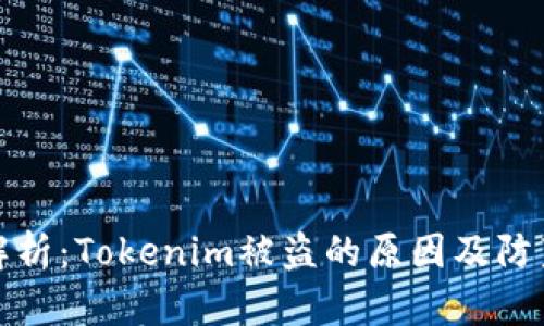 深入解析：Tokenim被盗的原因及防范措施