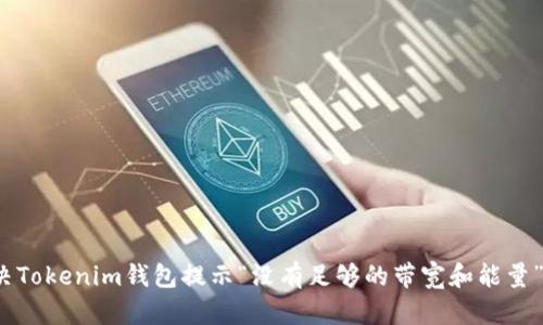 如何解决Tokenim钱包提示“没有足够的带宽和能量”的问题?