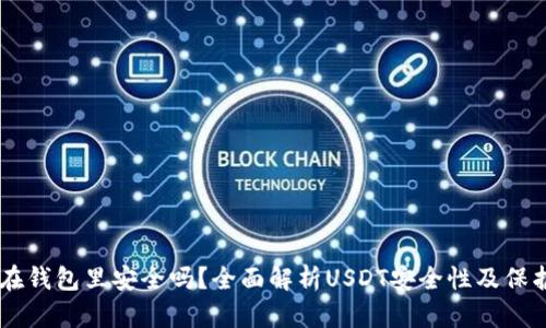 USDT在钱包里安全吗？全面解析USDT安全性及保护措施