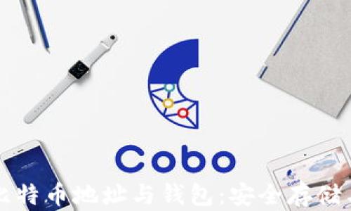 
深入了解比特币地址与钱包：安全存储与风险管理