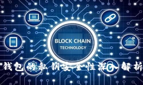 比特币平台钱包的私钥安全性深入解析与最佳实践