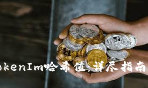 如何查询TokenIm哈希值：详尽指南与实用技巧