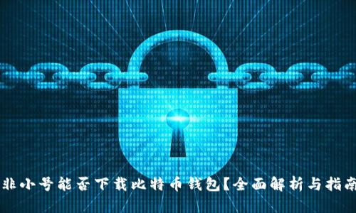 非小号能否下载比特币钱包？全面解析与指南