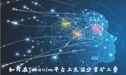   
如何在Tokenim平台上充值少量矿工费
