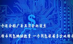 思考一个适合推广并且符合的优秀揭秘比特币钱