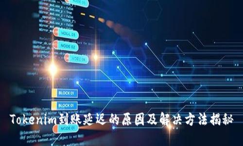 Tokenim到账延迟的原因及解决方法揭秘