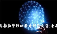 如何选择和管理比特币钱包文件：全面指南