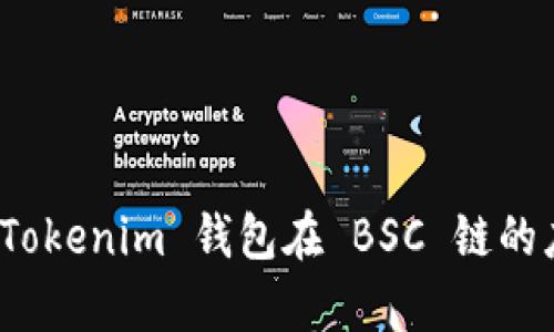 全面解析 Tokenim 钱包在 BSC 链的应用与优势