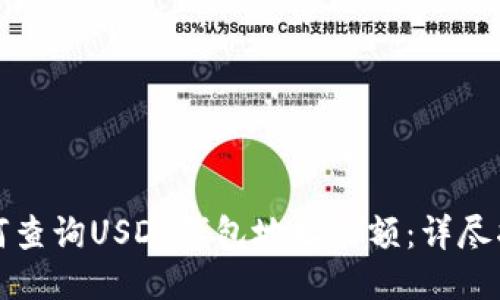 如何查询USDT钱包地址余额：详尽指南