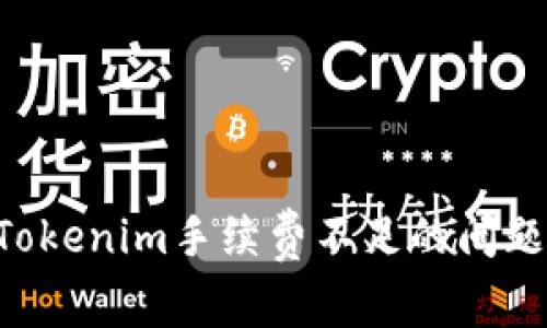 如何解决Tokenim手续费不足的问题：全面指南
