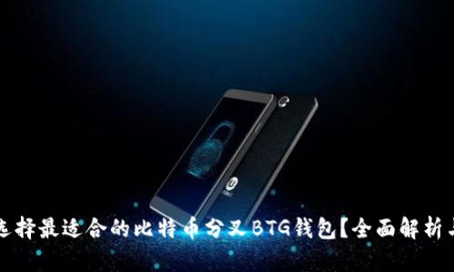 如何选择最适合的比特币分叉BTG钱包？全面解析与推荐