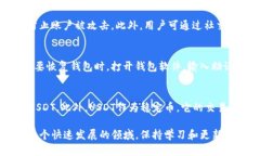 biao ti/biao tiUSDT钱包的安全性：您应该了解的所有