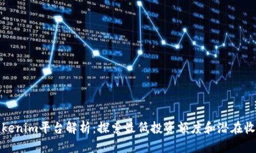 Tokenim平台解析：探索最低投资额度和潜在收益