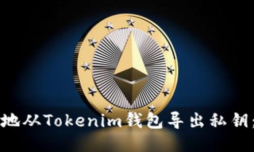 如何安全地从Tokenim钱包导出私钥：详细指南