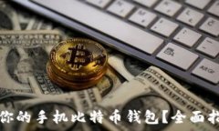   如何选择适合你的手机比特币钱包？全面指南与