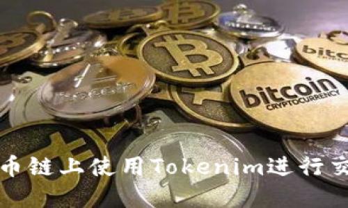 如何在火币链上使用Tokenim进行交易和投资