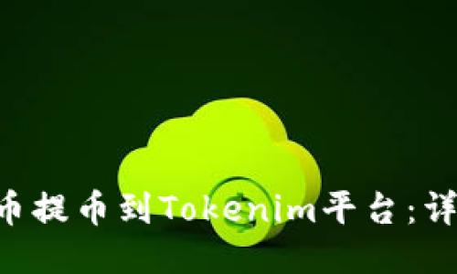 如何将PIG代币提币到Tokenim平台：详细步骤与指导