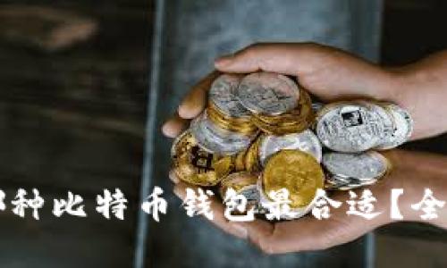 中国人使用哪种比特币钱包最合适？全面比较与推荐