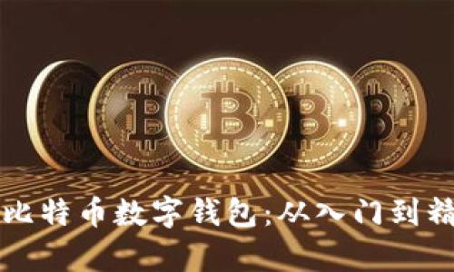 如何有效使用比特币数字钱包：从入门到精通的全面指南