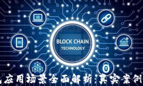 
比特币钱包应用场景全面解析：真实案例与未来展望