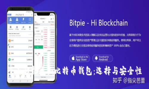 全面解析桌面比特币钱包：选择与安全性
