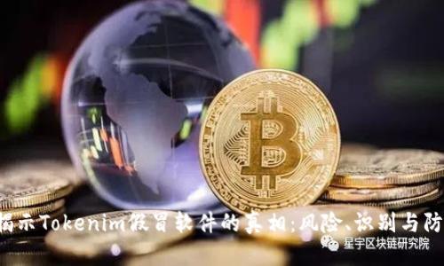  揭示Tokenim假冒软件的真相：风险、识别与防范