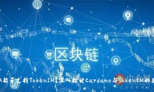 : ADA能否支持TokenIM？深入探讨Cardano与TokenIM的兼容性