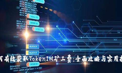 如何有效获取TokenIM矿工费：全面攻略与实用技巧