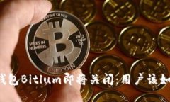 比特币钱包Bitlum即将关闭：用户该如何应对？