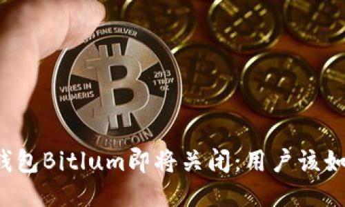 比特币钱包Bitlum即将关闭：用户该如何应对？