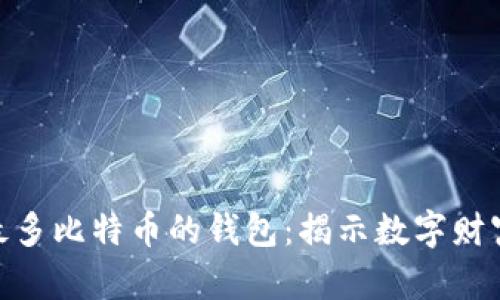 探索存有最多比特币的钱包：揭示数字财富的储存地