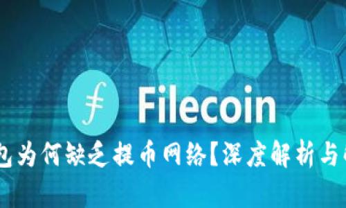 USDT钱包为何缺乏提币网络？深度解析与解决方案