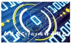 如何搭建和使用Copay比特币钱包：全面指南