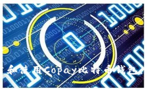 如何搭建和使用Copay比特币钱包：全面指南