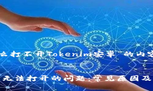 以下是关于“为什么打不开Tokenim安卓”的内容结构和相关信息：


解决Tokenim安卓无法打开的问题：常见原因及解决方案