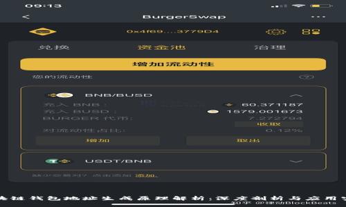 区块链钱包地址生成原理解析：深度剖析与应用实例