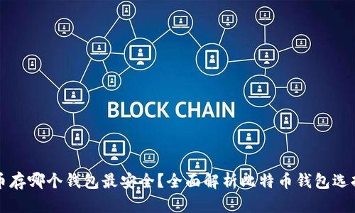 比特币存哪个钱包最安全？全面解析比特币钱包选择指南