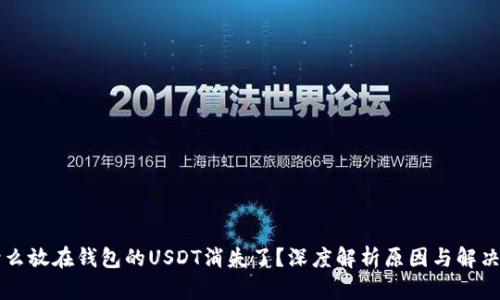 为什么放在钱包的USDT消失了？深度解析原因与解决方案