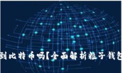 粒子钱包能挖到比特币吗？全面解析粒子钱包的