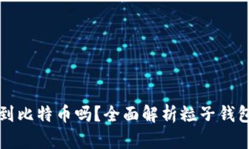 粒子钱包能挖到比特币吗？全面解析粒子钱包的功能与潜力